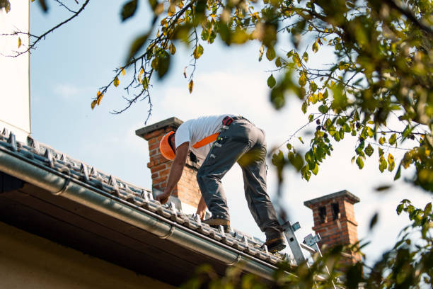 Best Roof Maintenance Services  in Harris Hill, NY