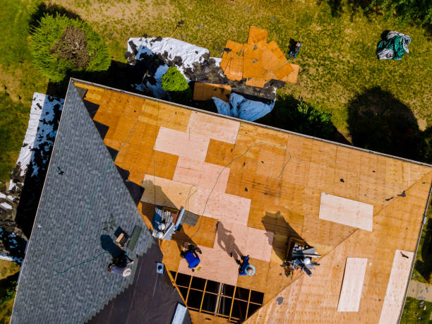 Best Storm Damage Roof Repair  in Harris Hill, NY