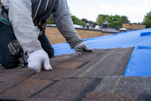 Best Roof Restoration Services  in Harris Hill, NY