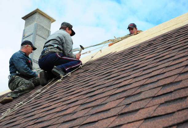 Best Residential Roofing Contractor  in Harris Hill, NY
